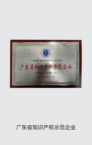 獎項-知識產(chǎn)權(quán)